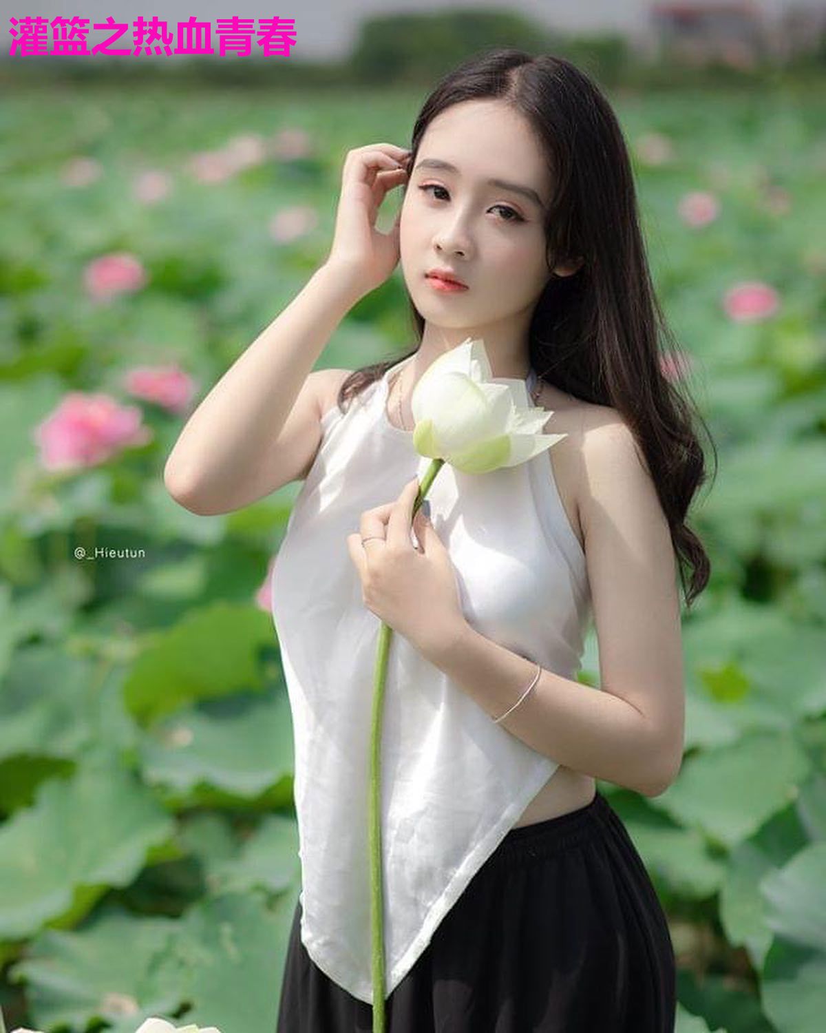 灌篮之热血青春