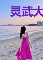灵武大陆之双魂