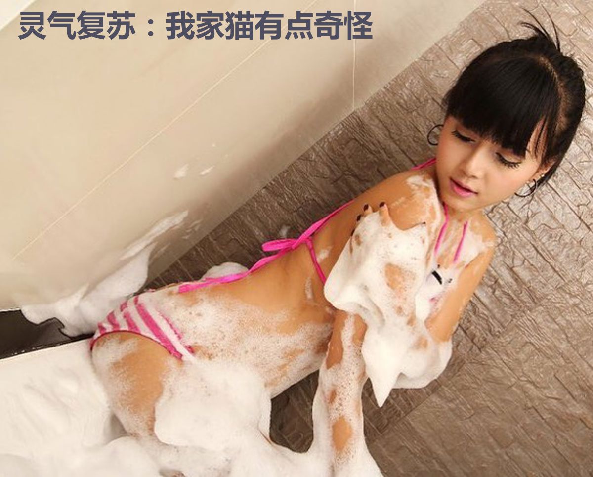 灵气复苏:我家猫有点奇怪