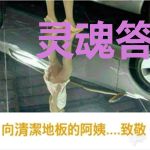 灵魂答辩师误捞失忆前夫后