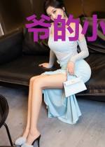 爷的小野猫