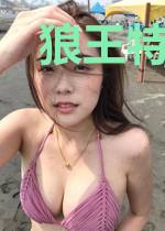 狼王特战队
