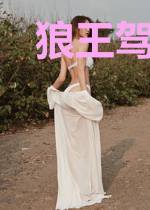 狼王驾到:兔宝乖乖把门开