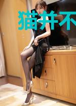 猫并不想理你