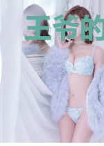 王爷的追猫史