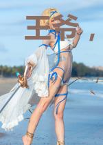 王爷,王妃说要踏平这山河夺天下