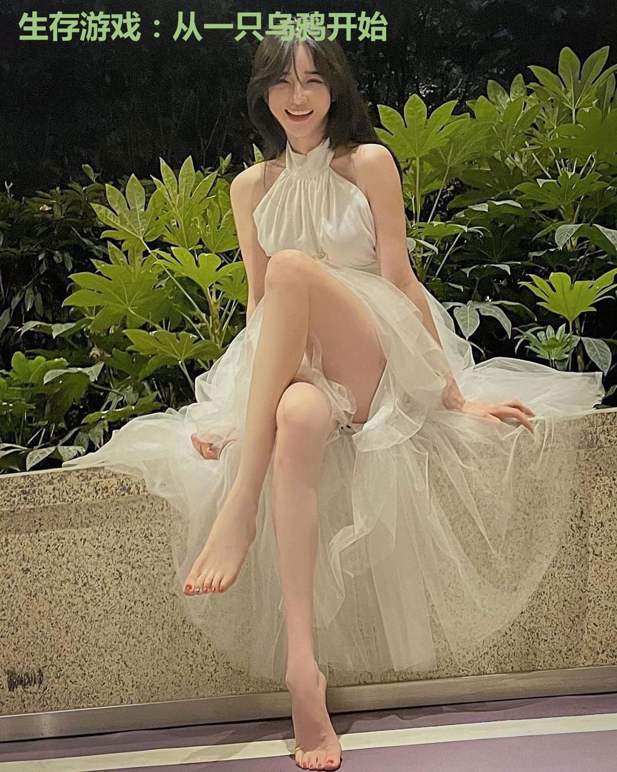 生存游戏:从一只乌鸦开始