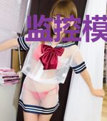 监控模拟器