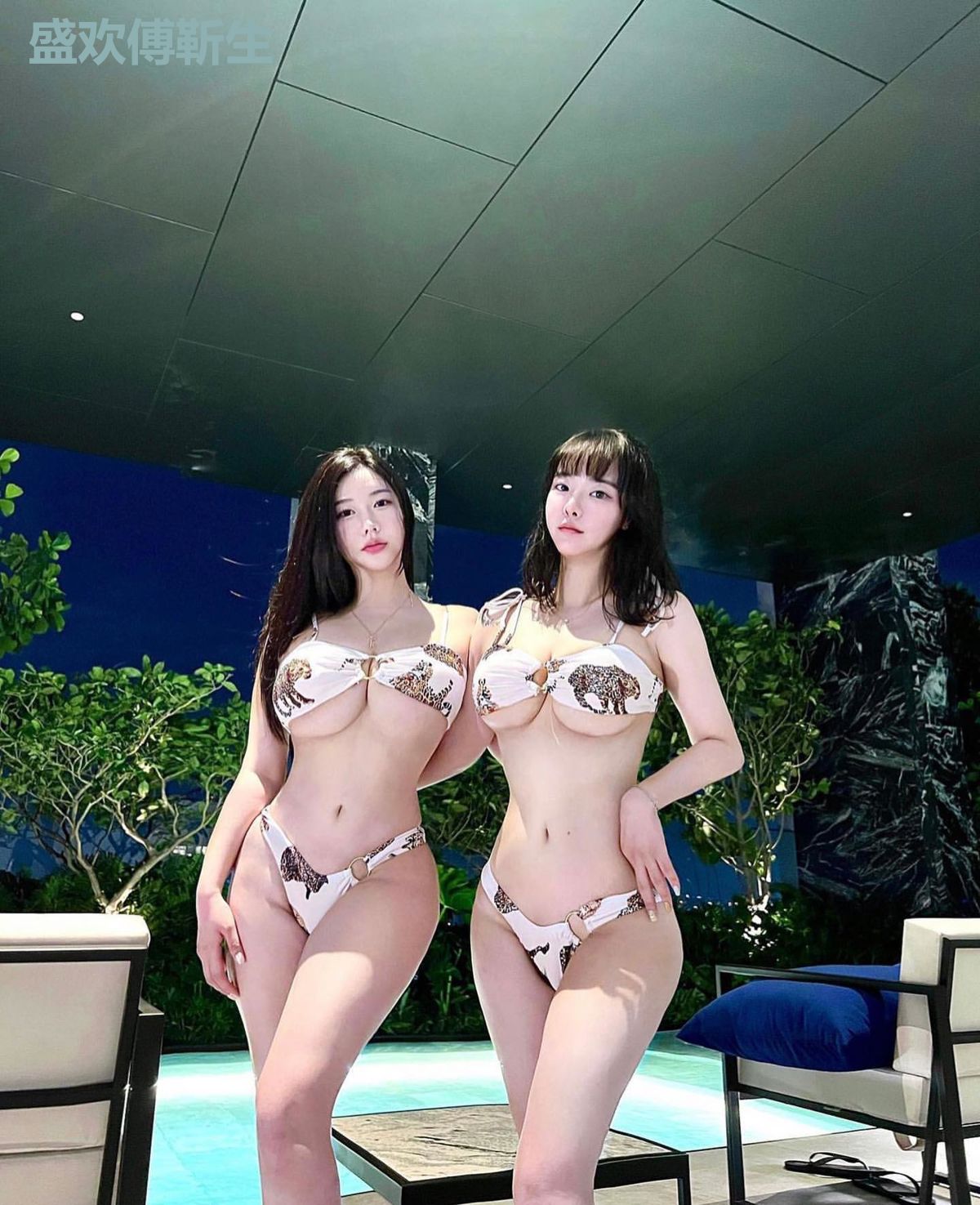 盛欢傅靳生