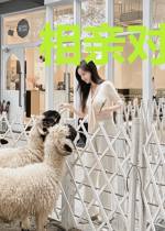 相亲对象是神明之女