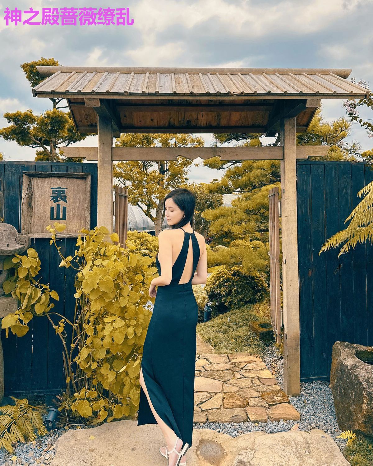神之殿蔷薇缭乱