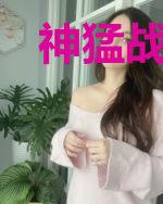 神猛战王陈锋苏小雅