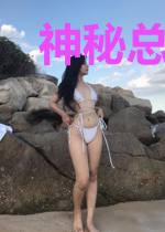 神秘总裁追上门