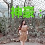 神豪:开局一元秒杀劳斯莱斯