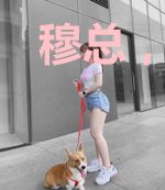 穆总,听说你想复婚!