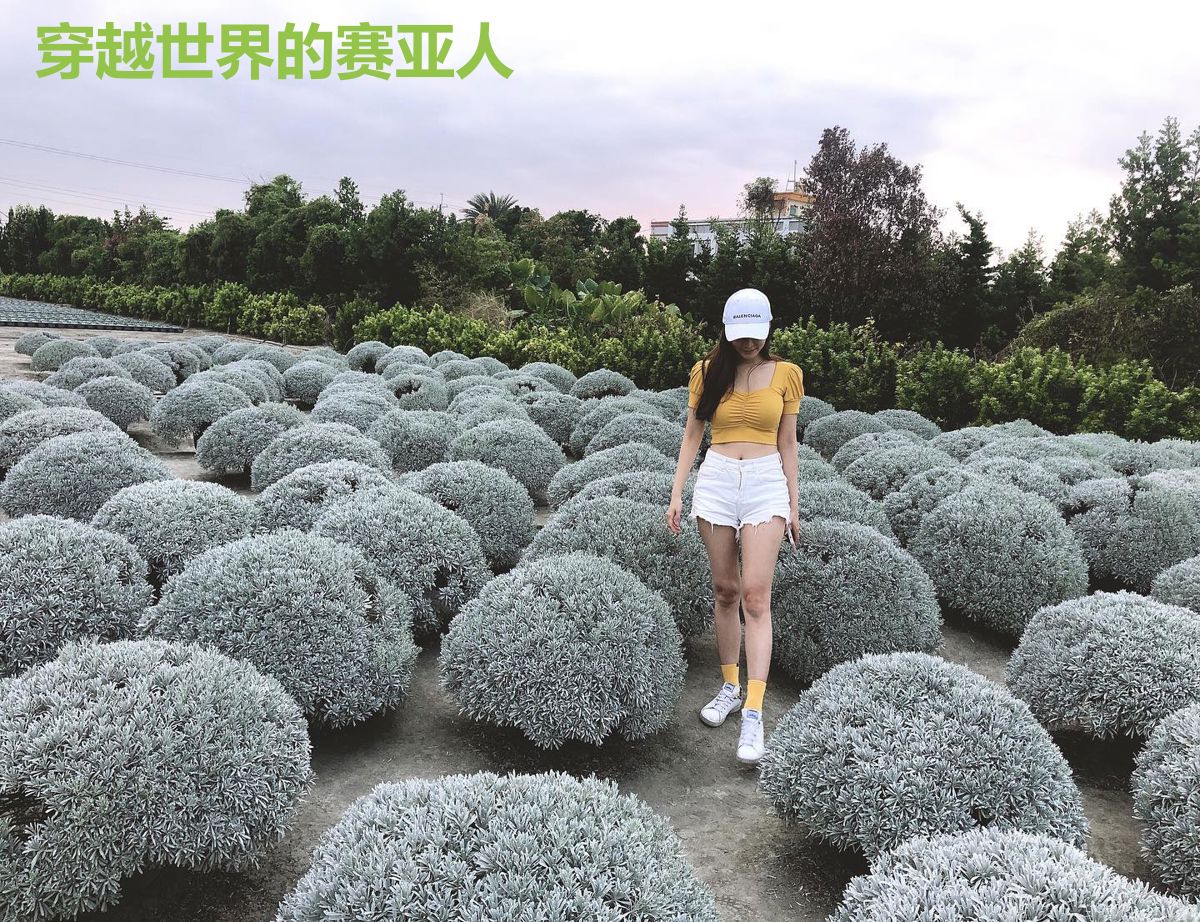 穿越世界的赛亚人