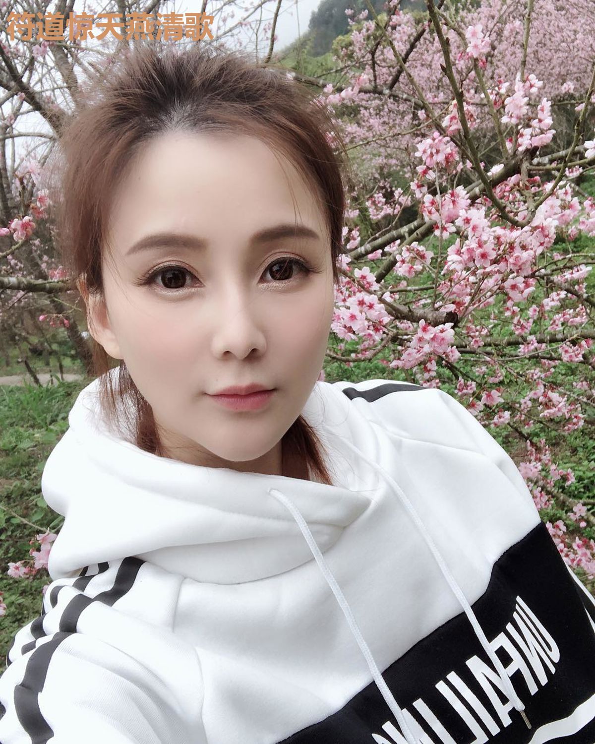 符道惊天燕清歌