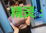 精灵：我真打不过宝可梦啊