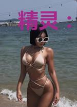 精灵：我靠宝可梦们的背景吃软饭