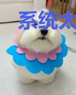 系统太努力怎么办