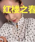 红楼之春心圣手