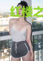 红楼之王子胜重生