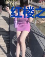 红楼之薛呆子抱得美人归