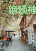 绝顶神医赘婿