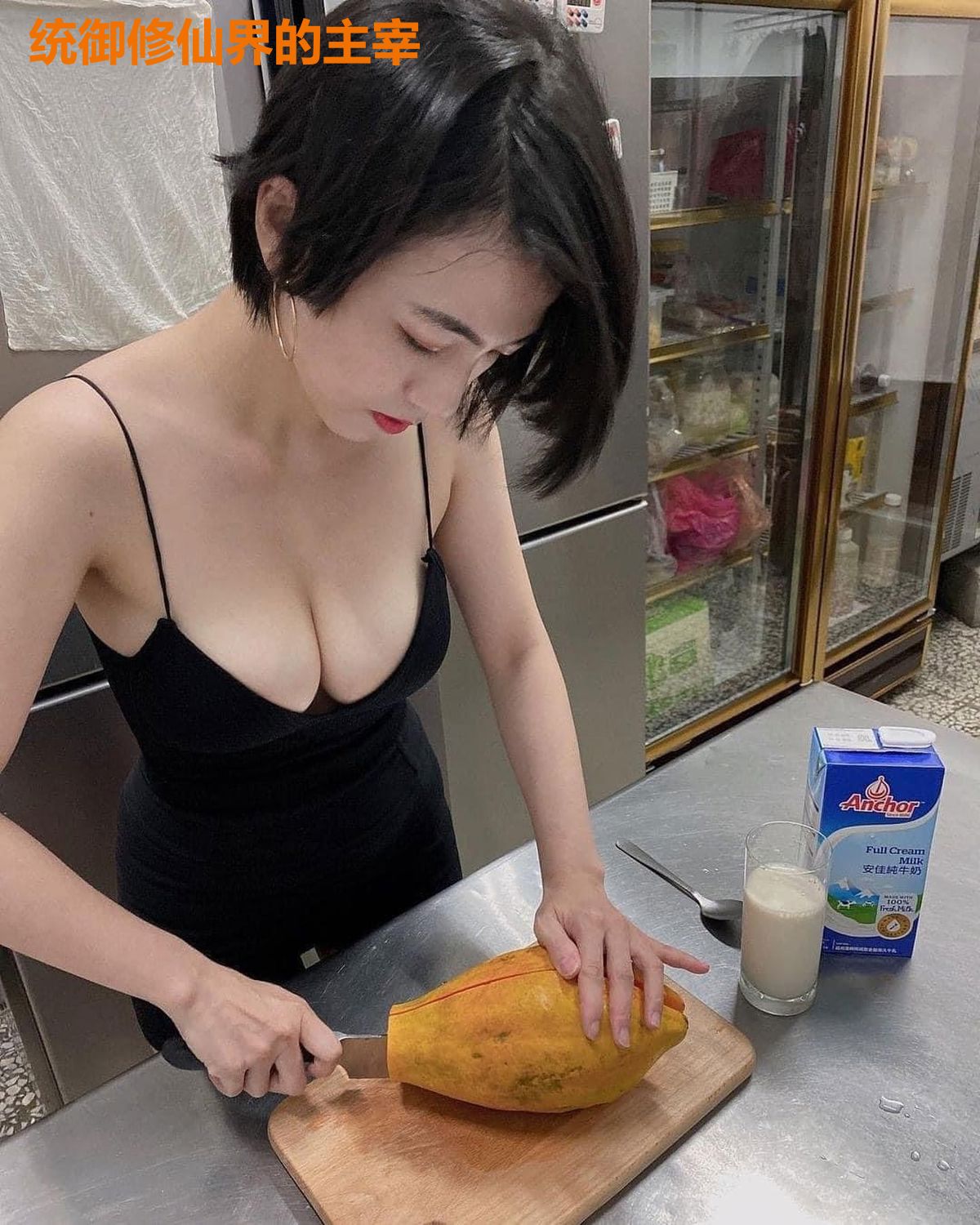 统御修仙界的主宰