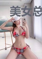 美女总裁的特工保镖