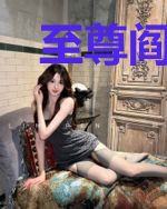 至尊阎婿叶锋秦霜