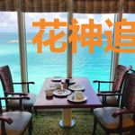 花神追月之深深爱