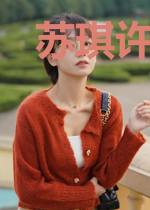 苏琪许容沐