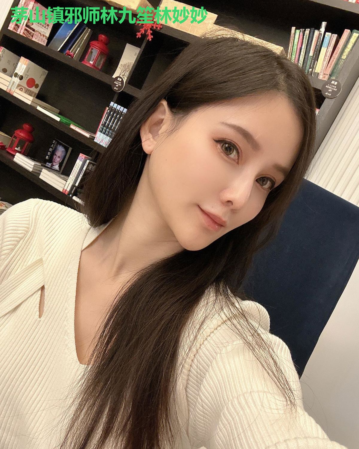 茅山镇邪师林九笙林妙妙