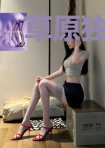 草原独酌之燕归来