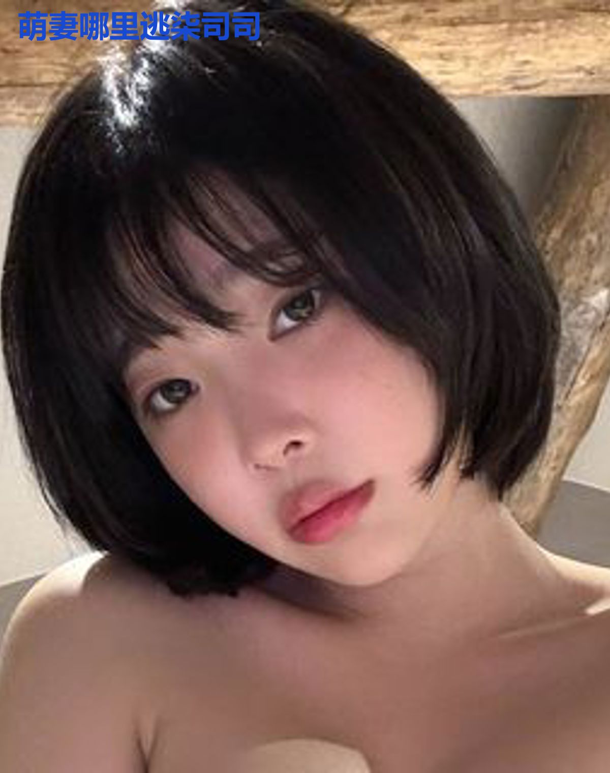 萌妻哪里逃柒司司