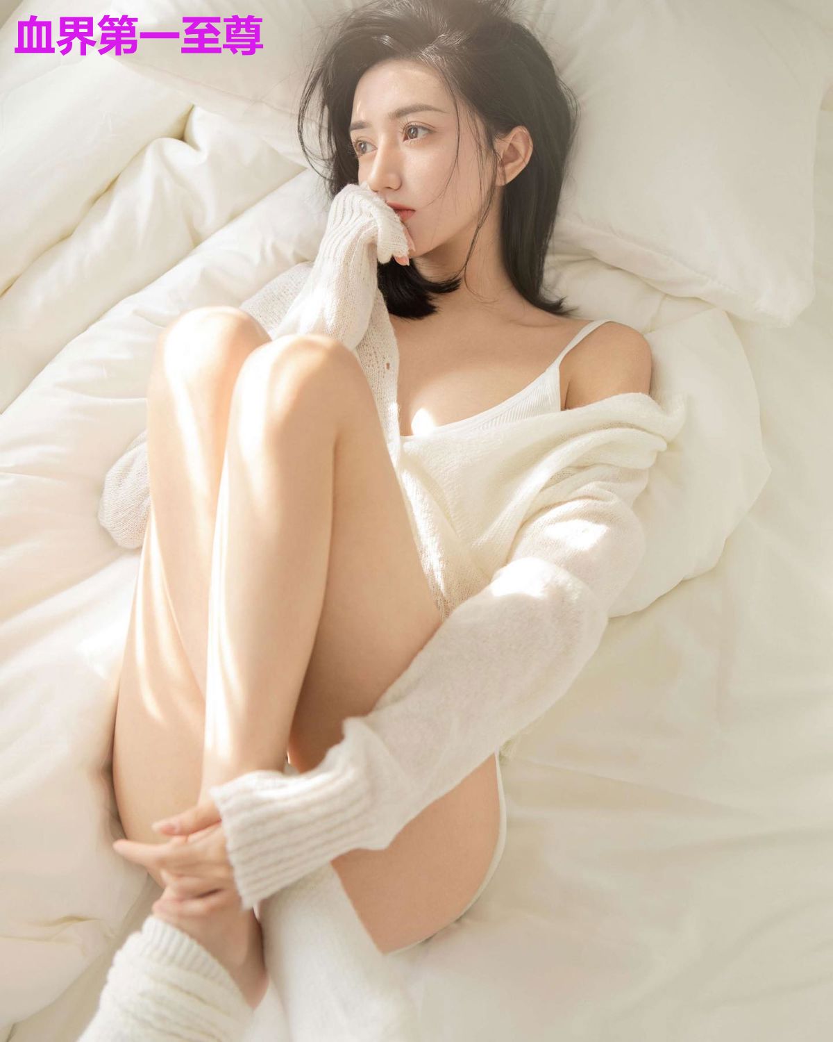 血界第一至尊