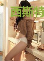 西斯特游戏