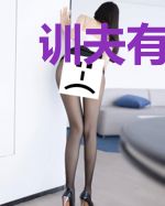 训夫有方:小哥哥逆天宠