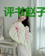 评书赵子龙演义