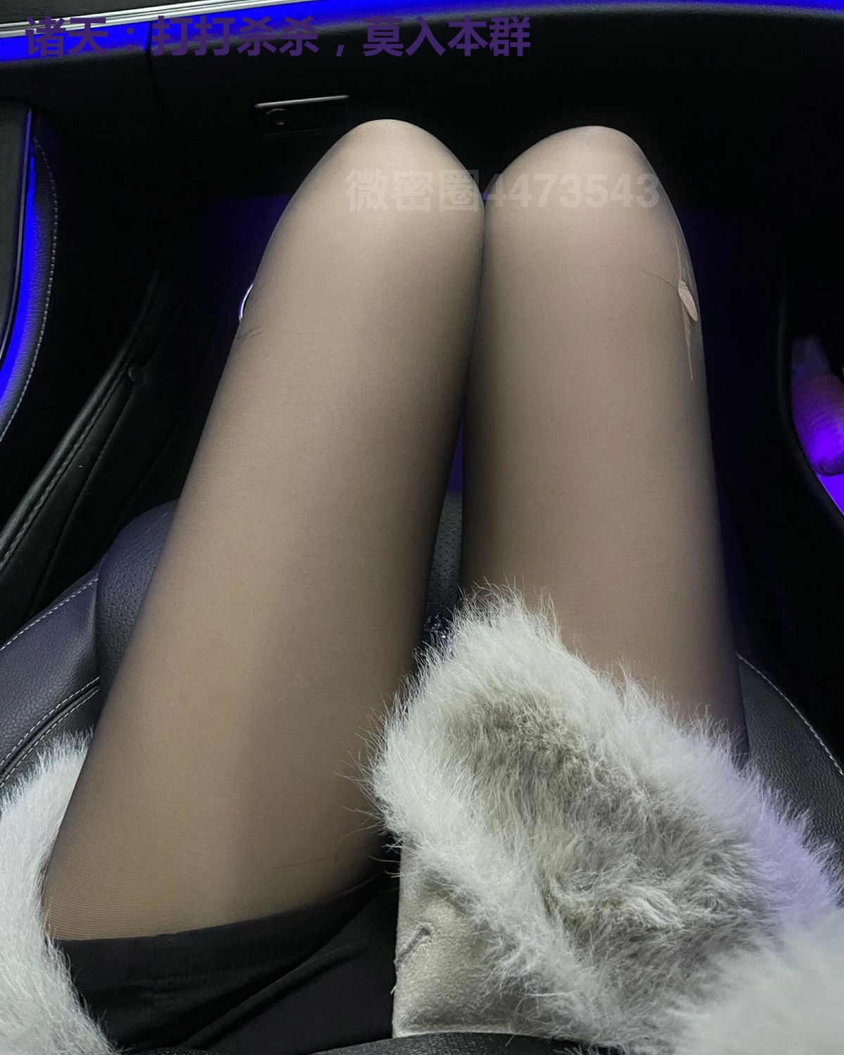 诸天:打打杀杀,莫入本群