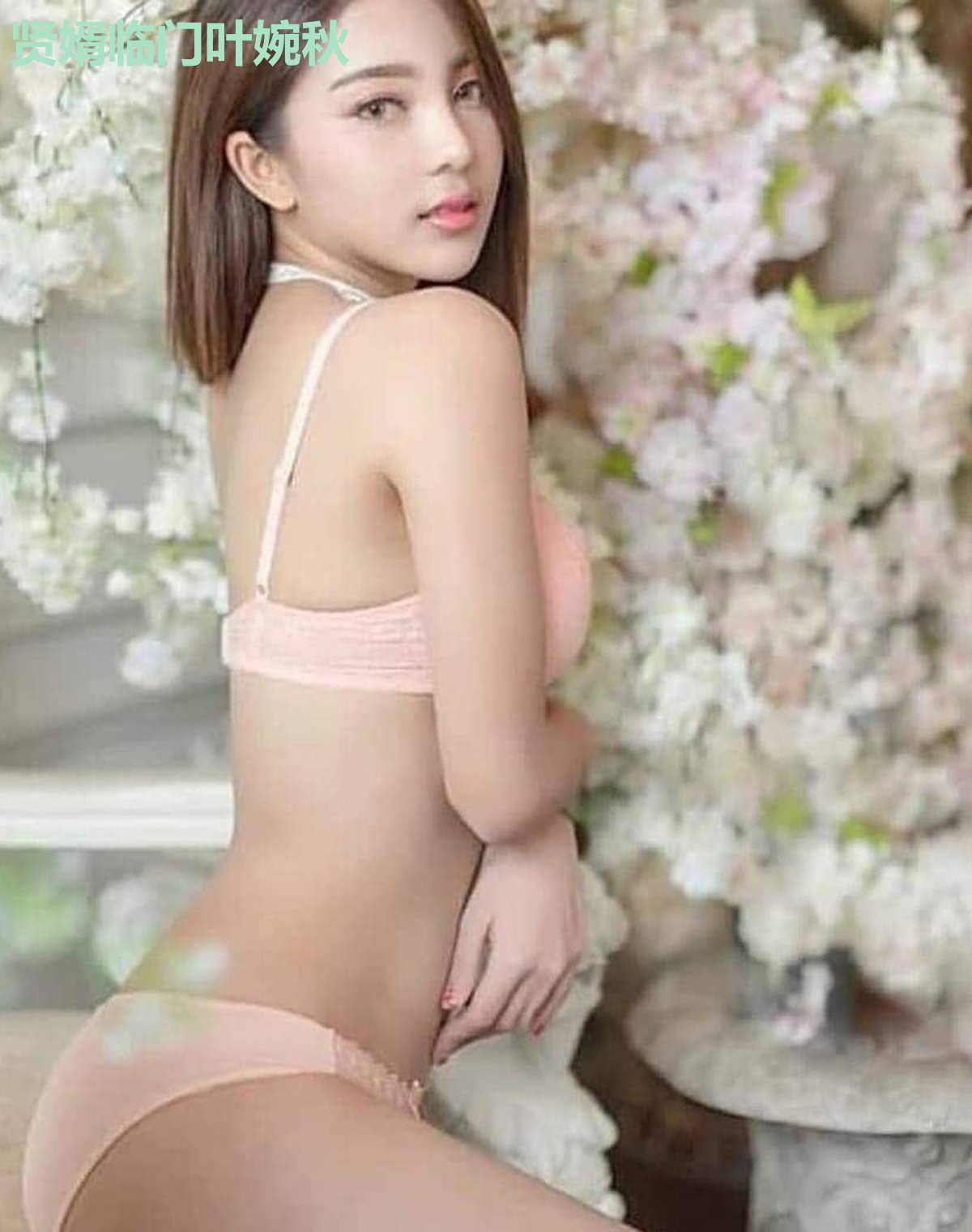贤婿临门叶婉秋