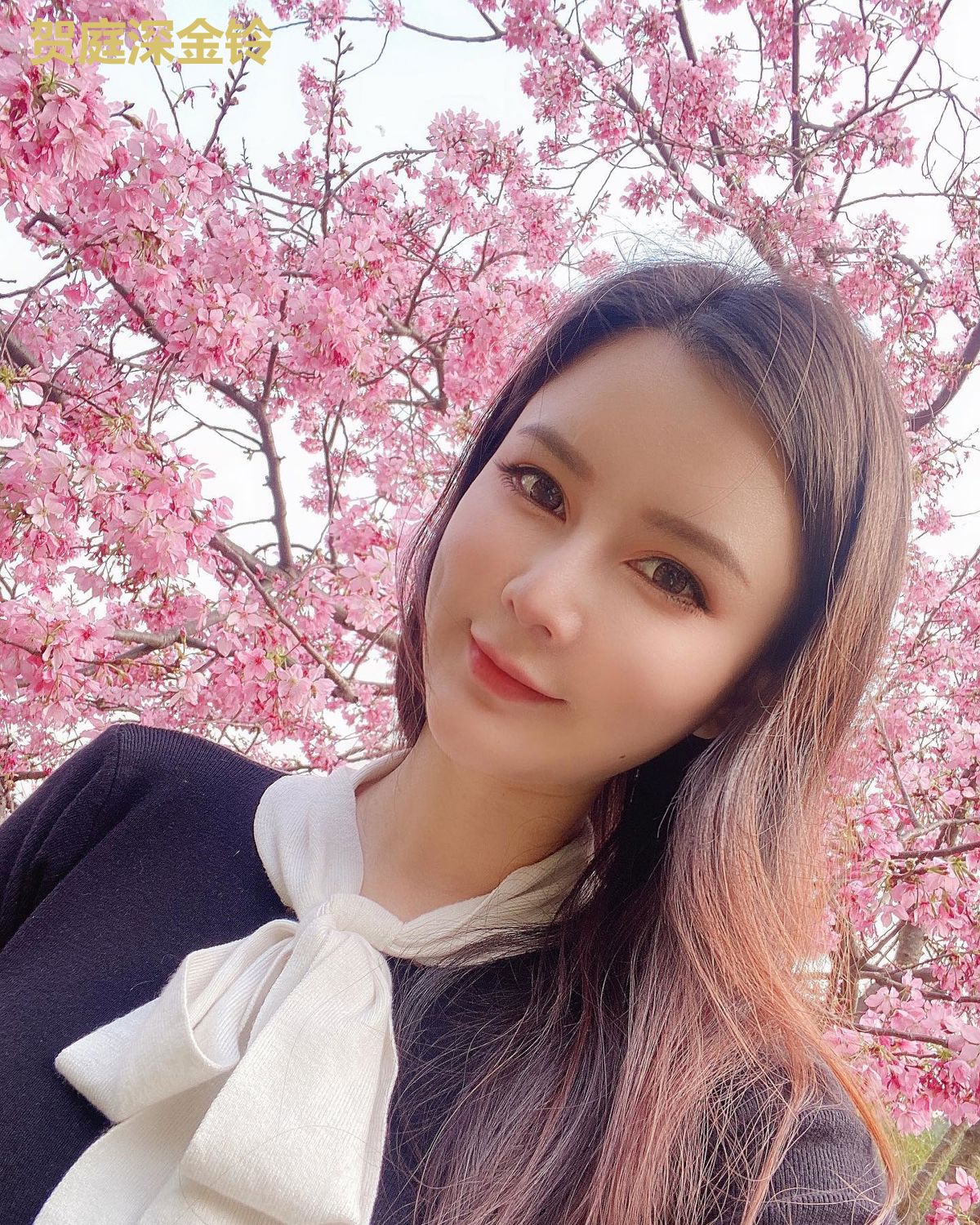 贺庭深金铃