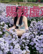赐我虚欢一场