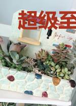 超级至尊医仙