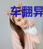 车翻异世界
