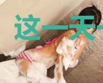 这一天一天的