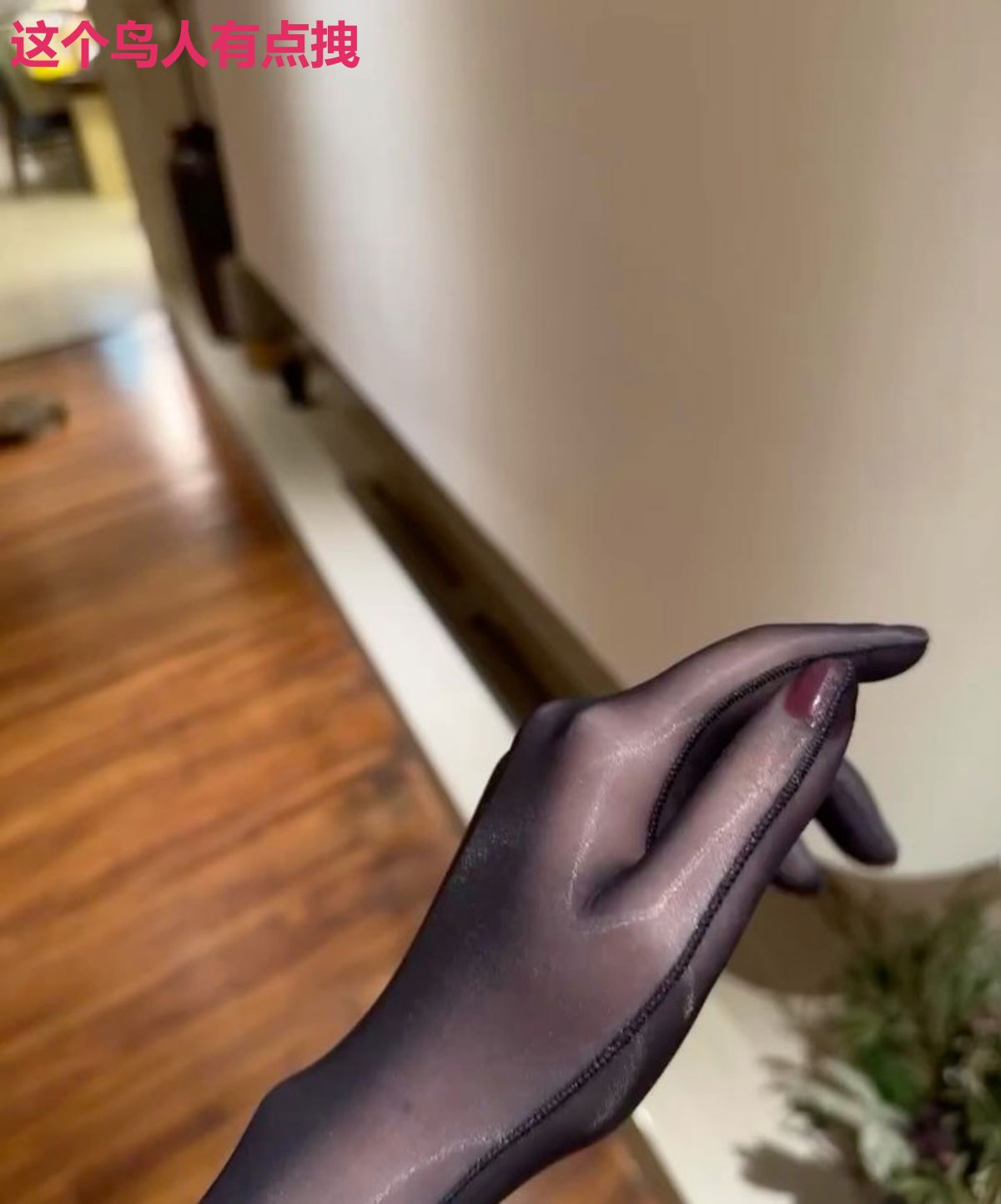 这个鸟人有点拽