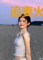 追妻火葬场之总裁还在试用期