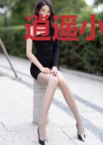 逍遥小姑爷